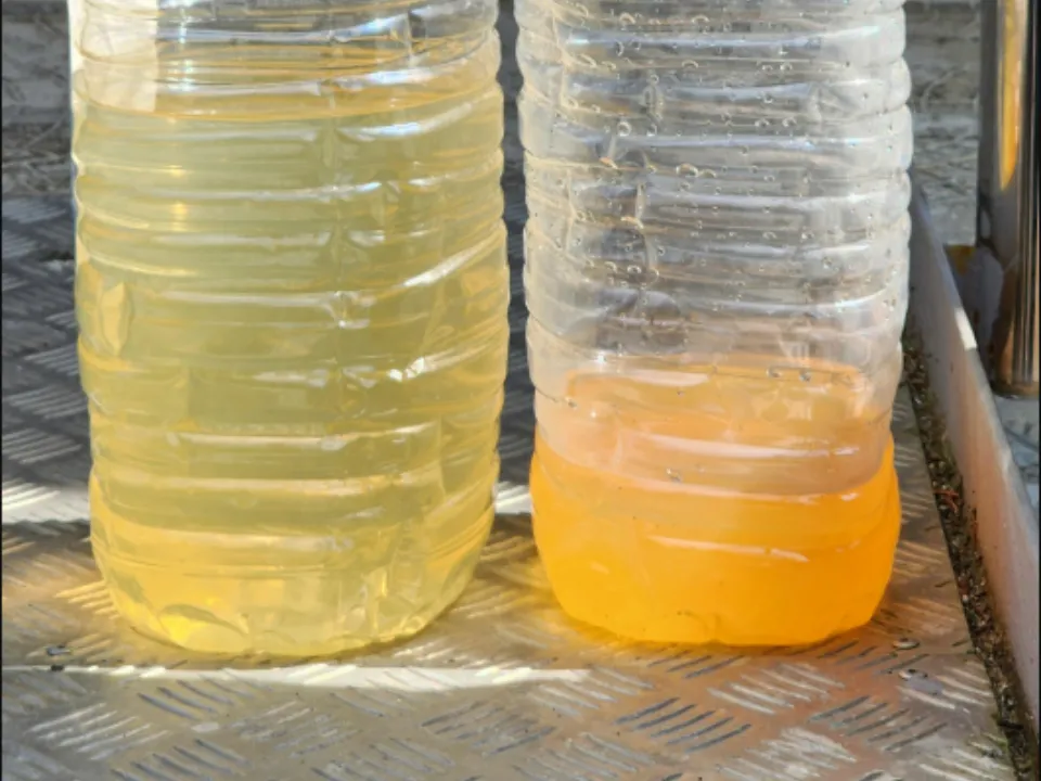 Фото: Екатерина Данилина