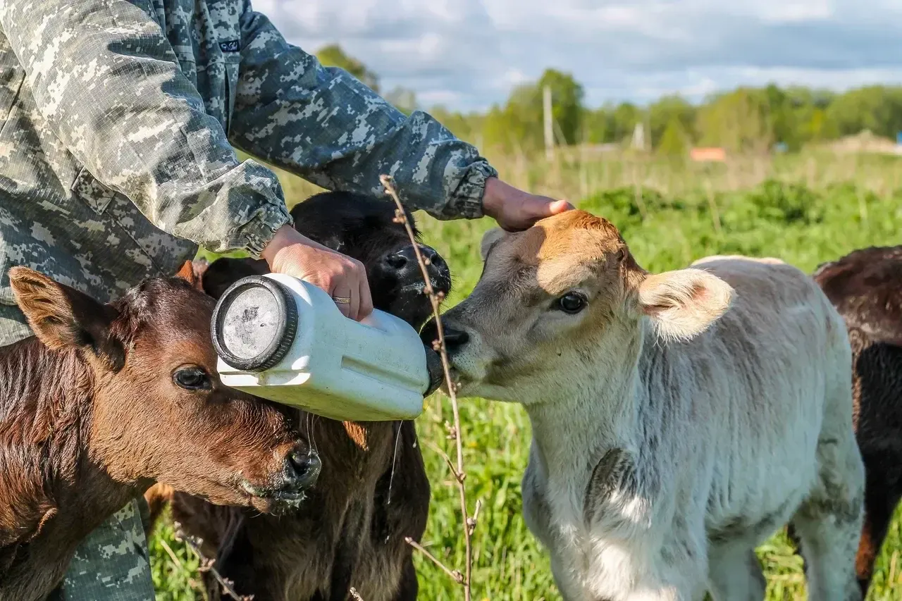 пресс-служба губернатора и правительства Московской области