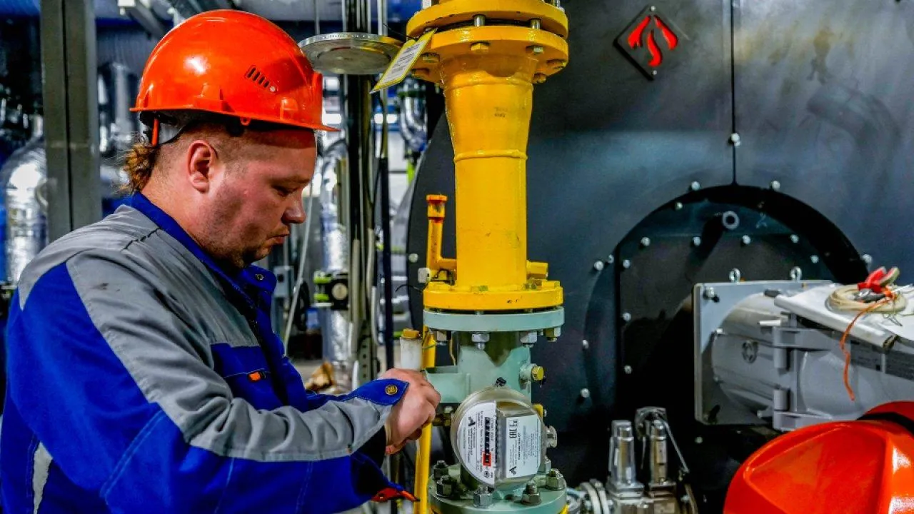 пресс-служба губернатора и правительства Московской области/Александра Степанова