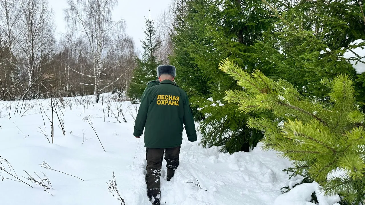 Фото: МедиаБанк Подмосковья\Лилия Закирова