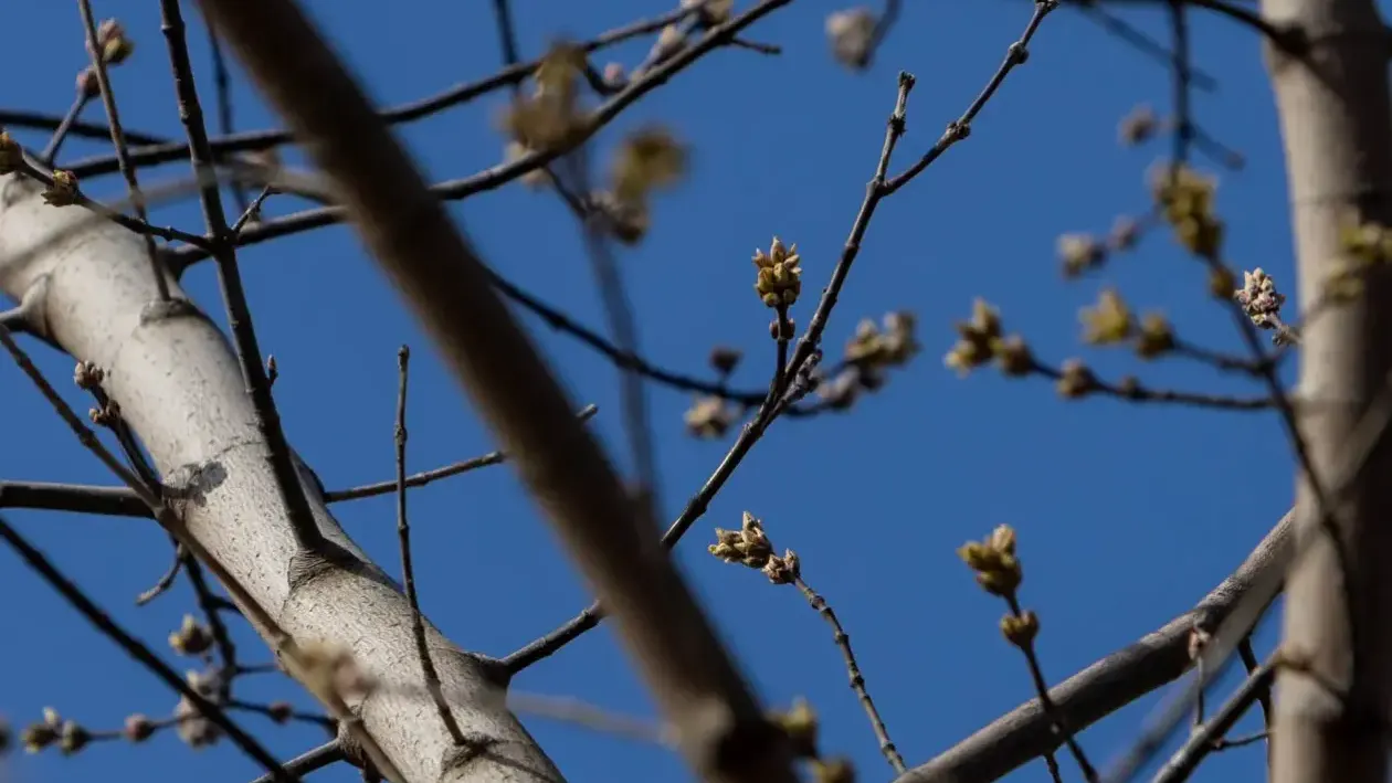 REGIONS/Роман Малышенко