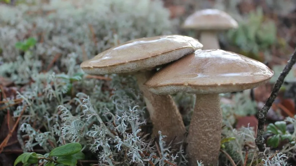 Фото: unsplash.com