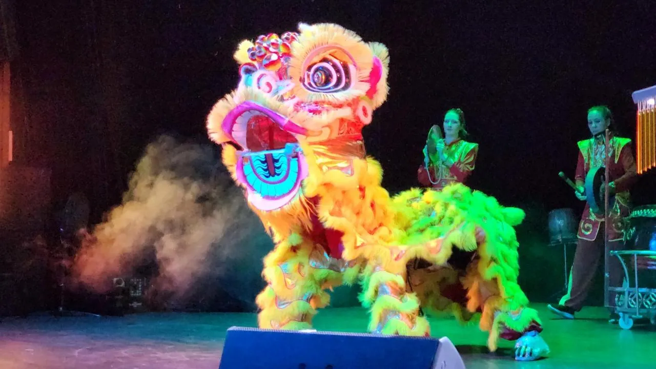 REGIONS/Елена Шумакова