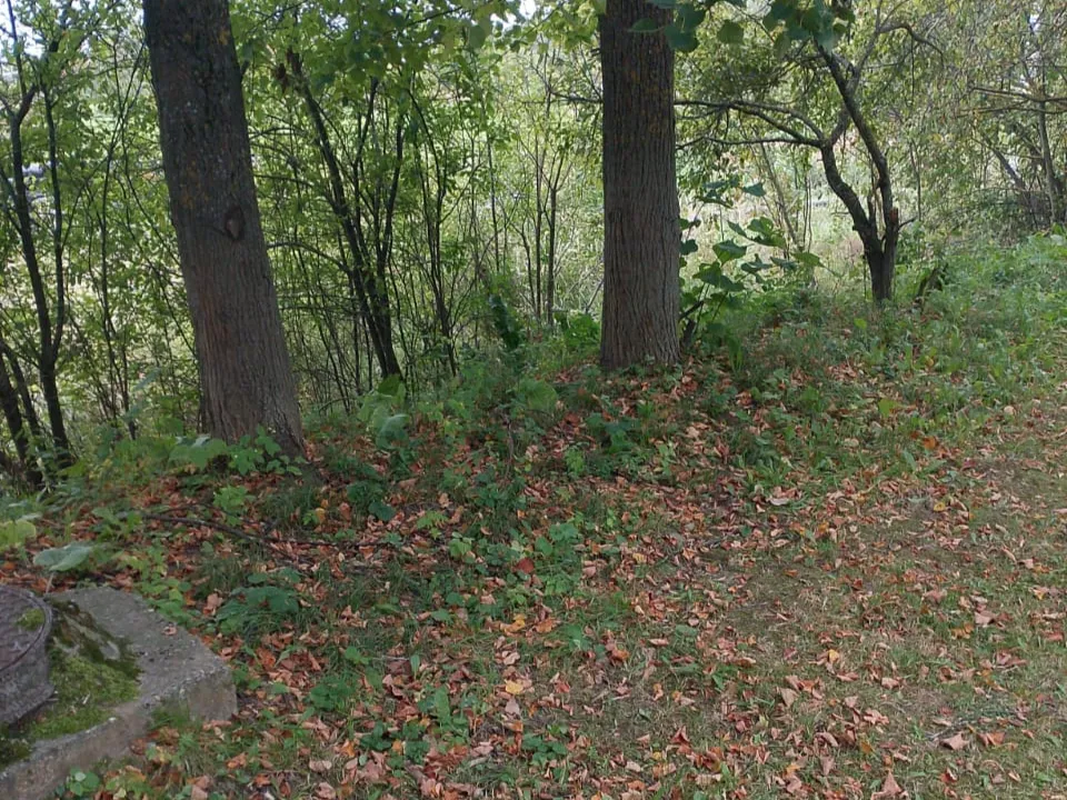 Фото: пресс-служба администрации м.о. Лотошино