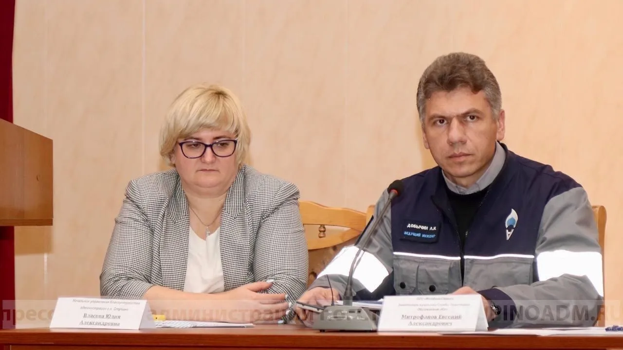 Фото: Пресс-служба администрации г. о. Ступино