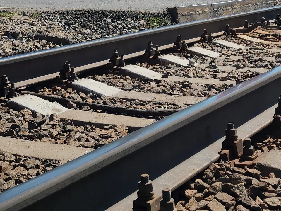 Фото: МедиаБанк Подмосковья/Андрей Семибратов