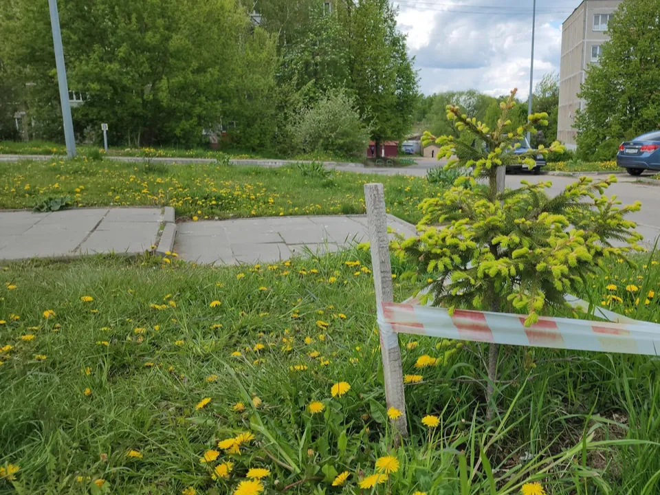 Фото: Иван Дубров