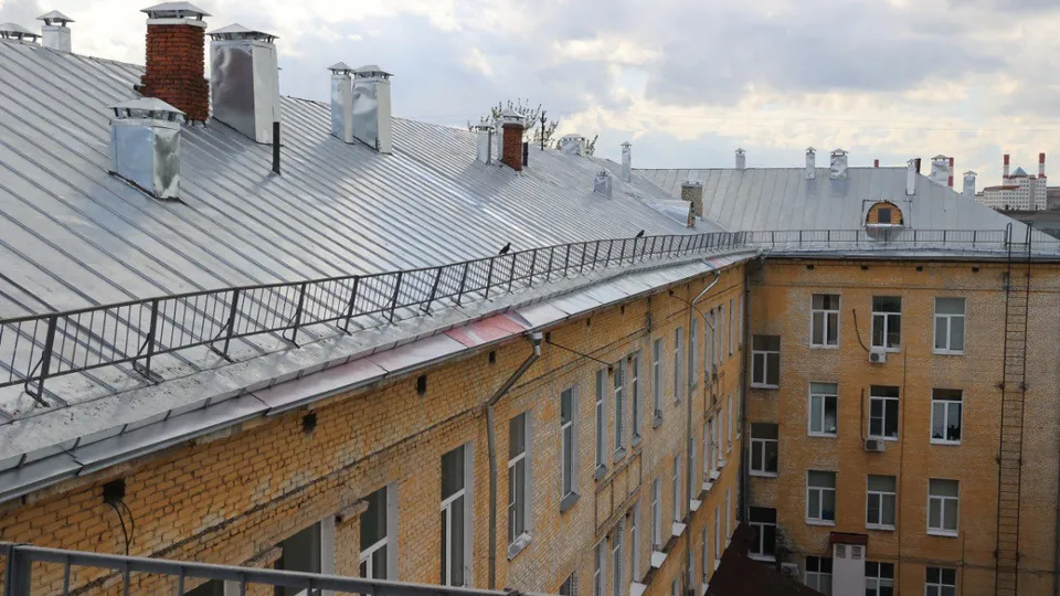 Фото: Алексей Грызлов