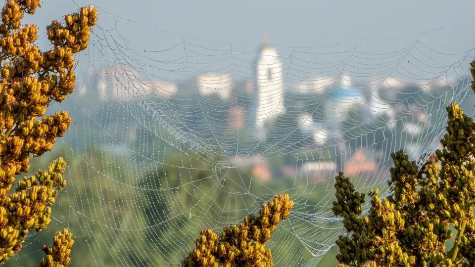 Фото: пресс-служба Администрации г.о. Серпухов/Дмитрий Шапошников