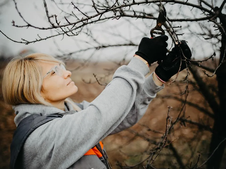 Фото: istockphoto.com/matrixnis