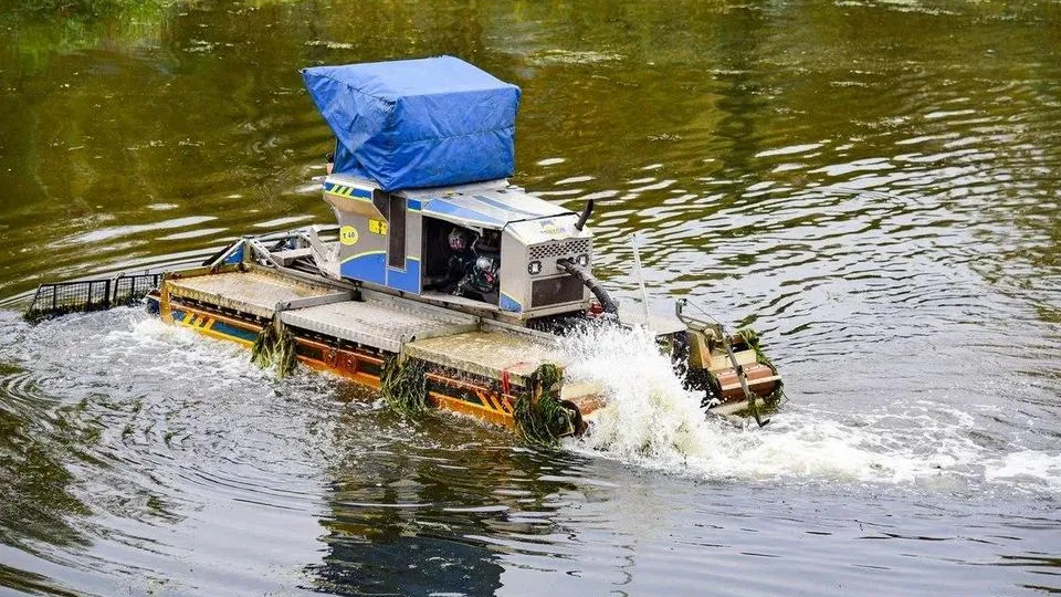 Фото: пресс-служба Администрации городского округа Мытищи