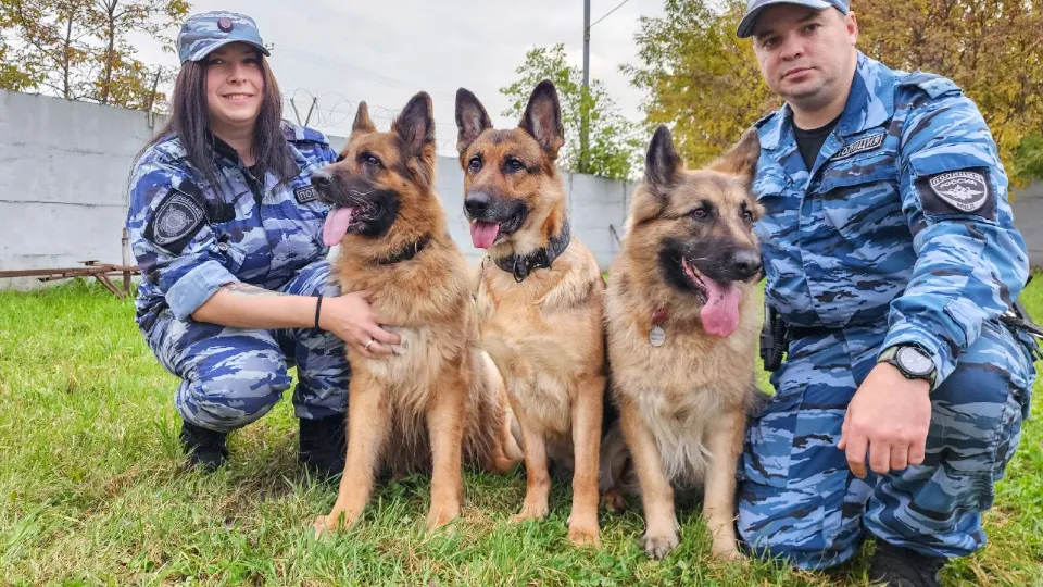 Фото: МедиаБанк Подмосковья/Мария Андрюхина