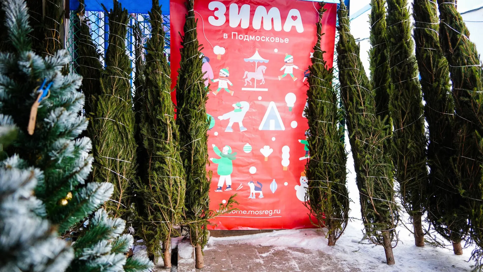 Фото: Даниил Коблов