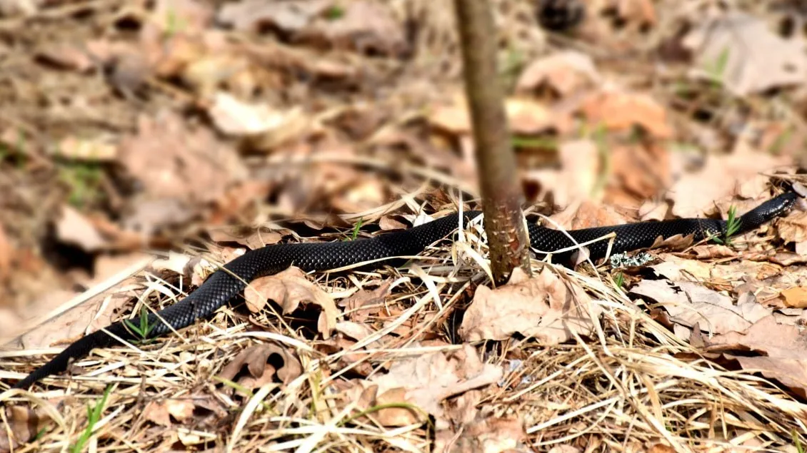 Фото: Оксана Лапшина