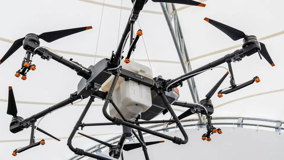 Фото: медиасток.рф