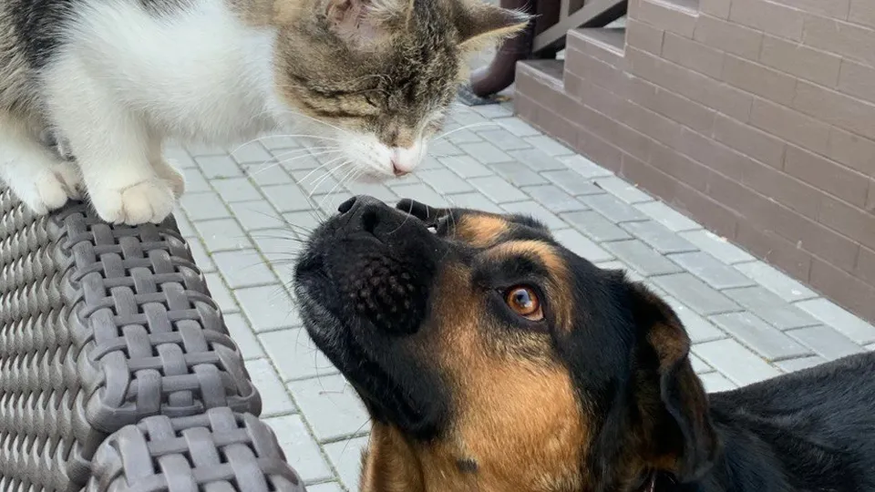 Фото: личный архив Полины Рыховской