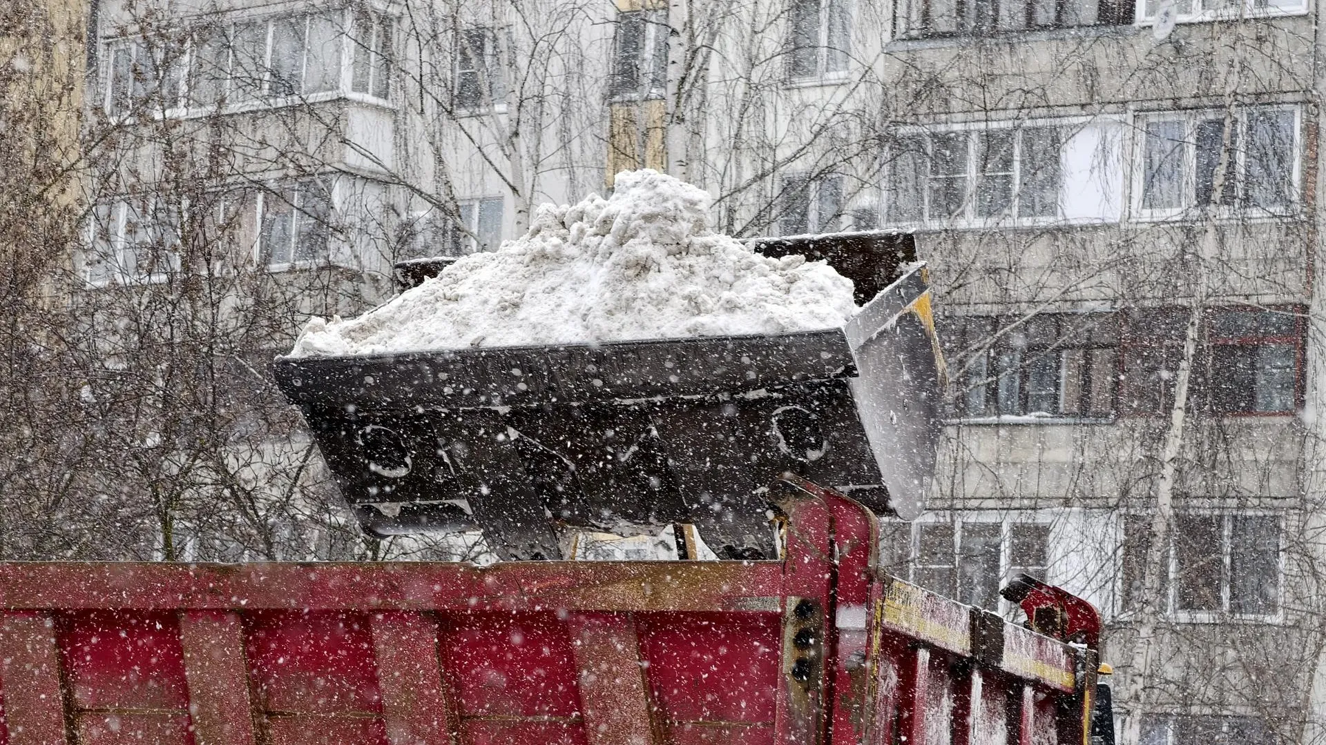 МедиаБанк Подмосковья/Юлия Выборова