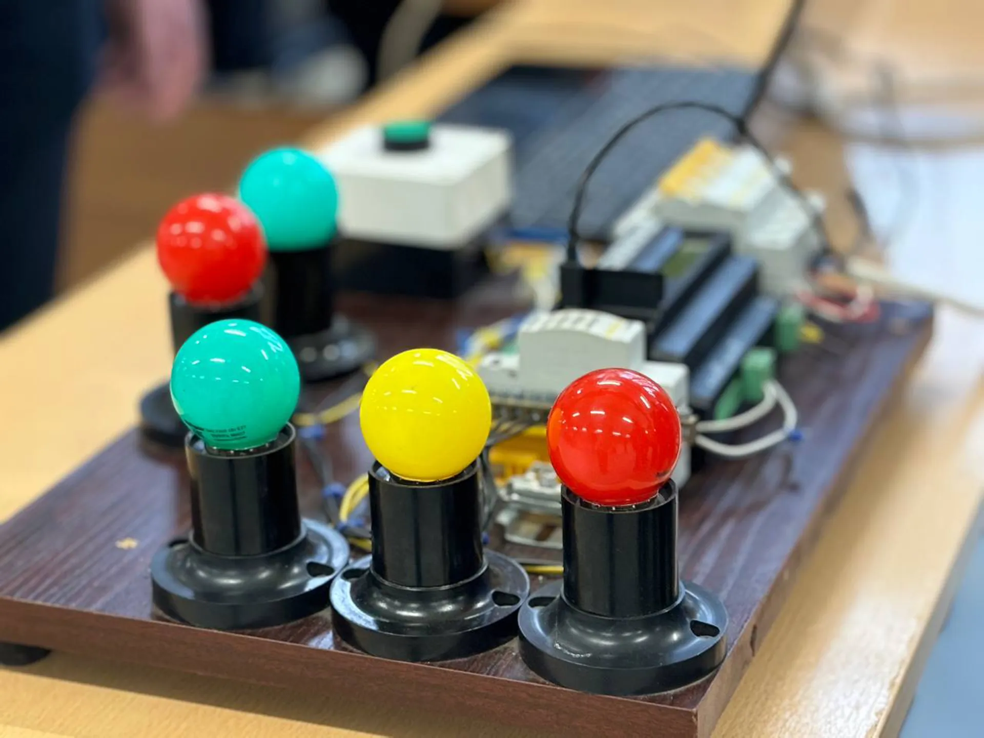 Фото: Светлана Плотникова