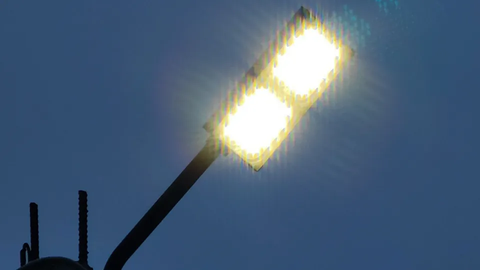 Фото: МедиаБанк Подмосковья/Арина Кузнецова