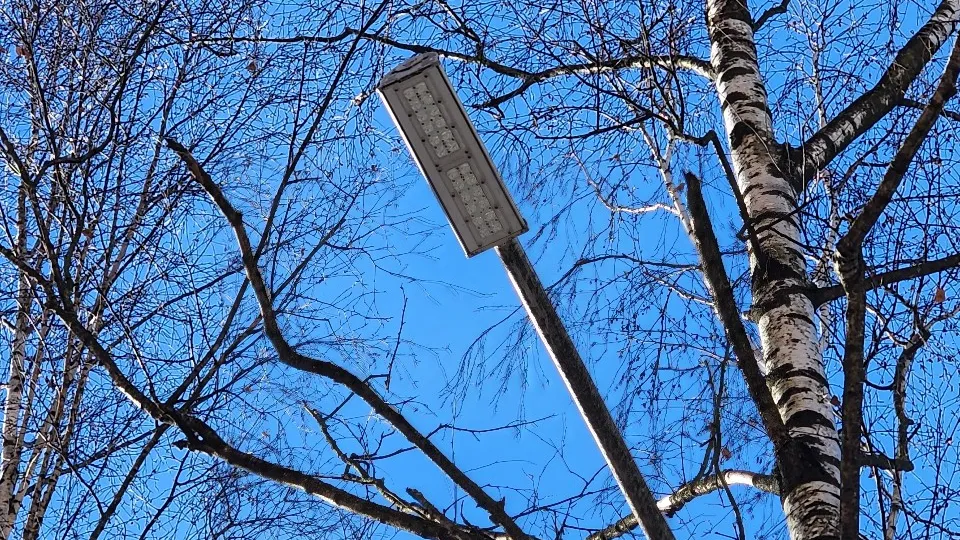 Фото: МедиаБанк Подмосковья/Роман Савельев