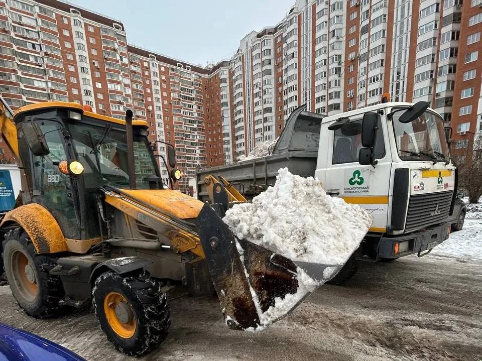 Фото: пресс-служба администрации г. о. Красногорск