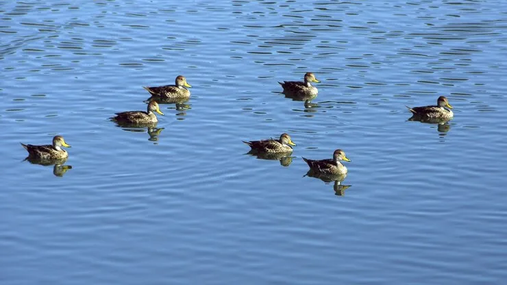 Фото: freepik.com