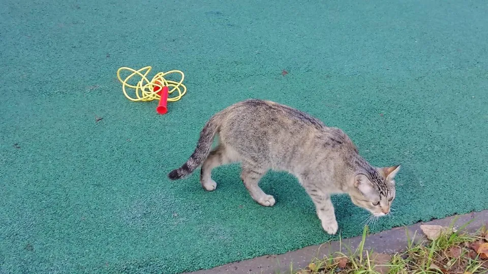 Фото: МедиаБанк Подмосковья/Анастасия Новак