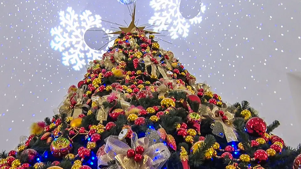 Фото: МедиаБанк Подмосковья/Данила Кирьянов