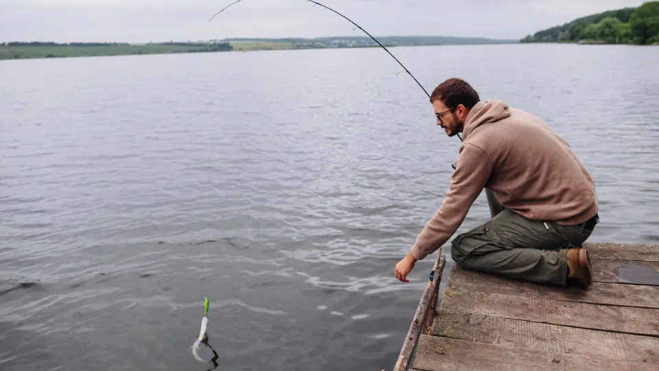 Фото: freepik.com