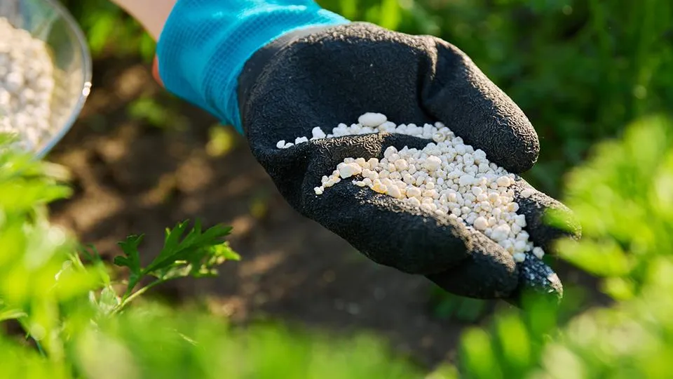 Фото: istockphoto.com