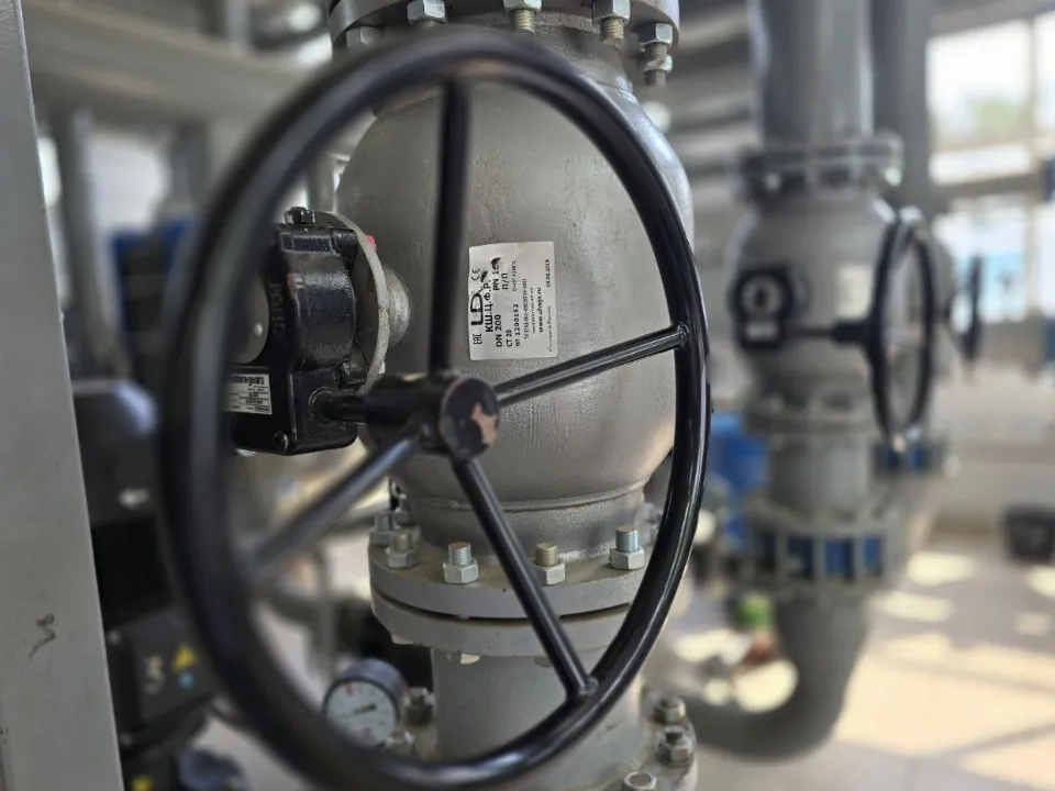 Фото: МедиаБанк Подмосковья/Яна Шаливская