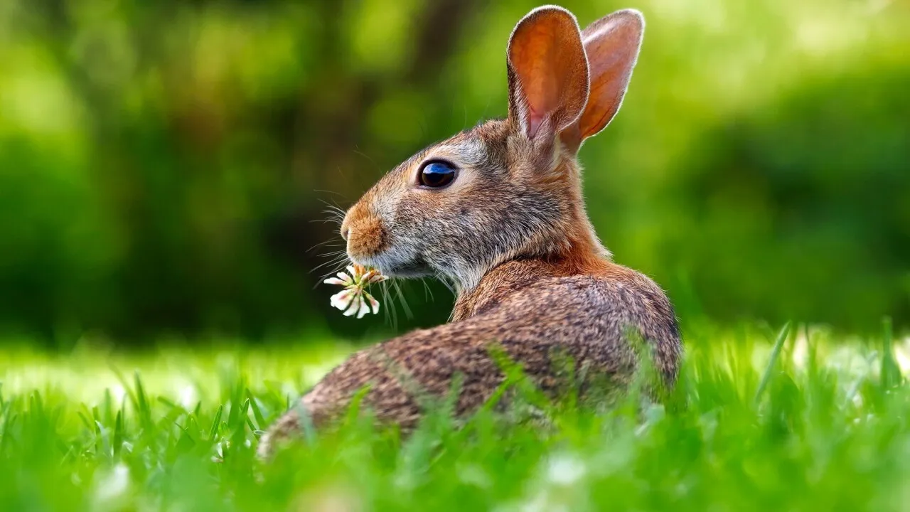 Фото: pxhere.com