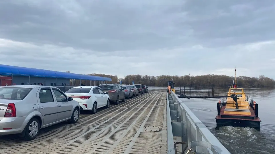 Фото: МедиаБанк Подмосковья/Анна Шолохова