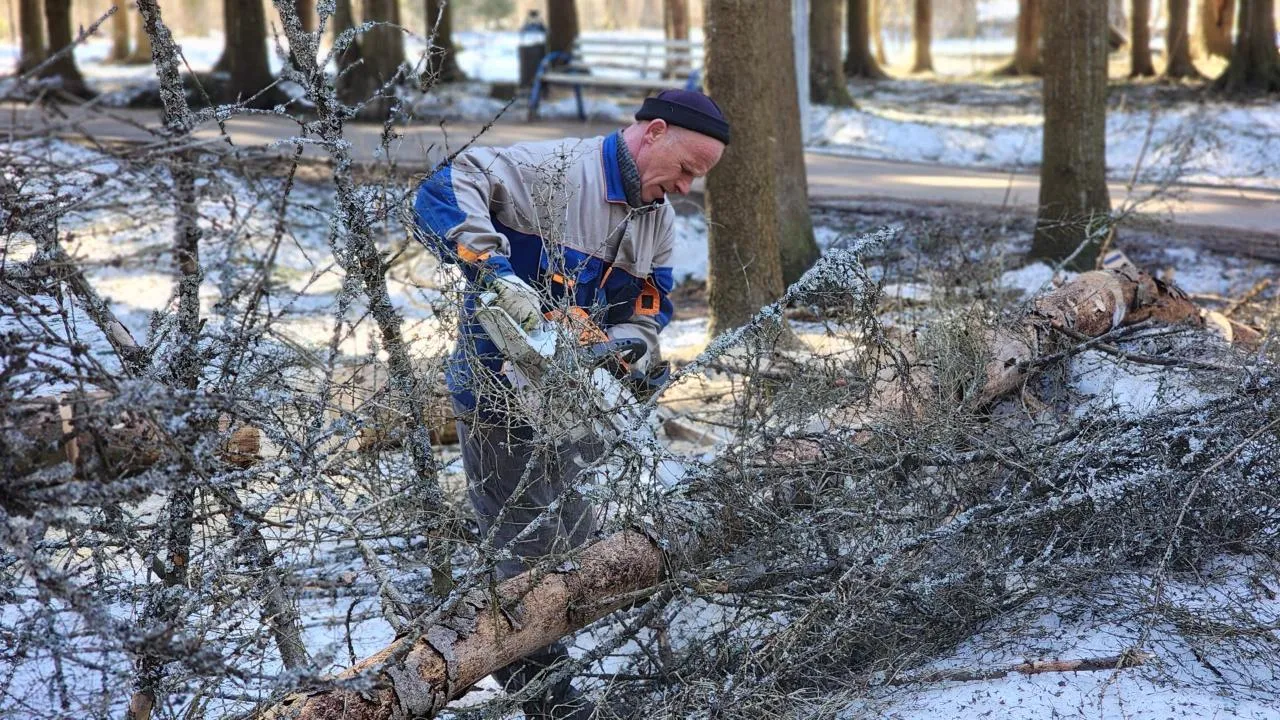 МедиаБанк Подмосковья/Дмитрий Беденко