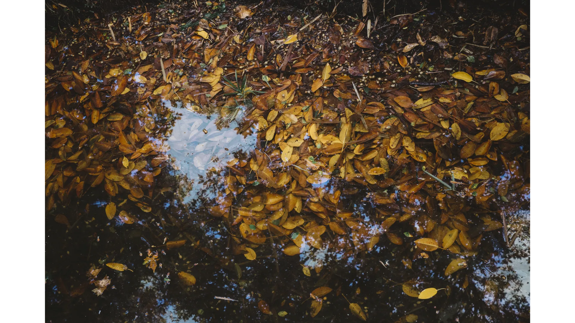 Фото: https://www.freepik.com/