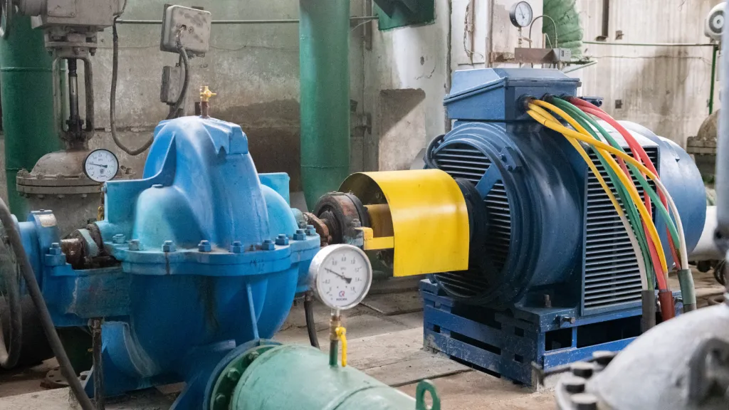 Фото: Медиабанк Подмосковья/Анастасия Харченко