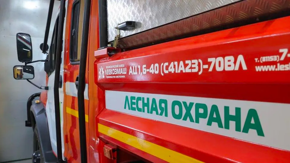 Фото: Комитет лесного хозяйства Московской области