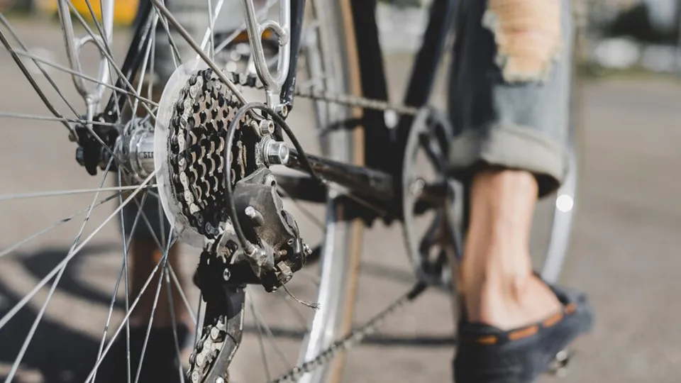 Фото: freepik.com