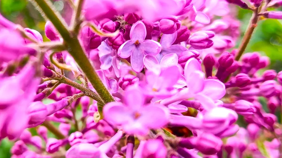 Фото: REGIONS/Алексей Селиверстов