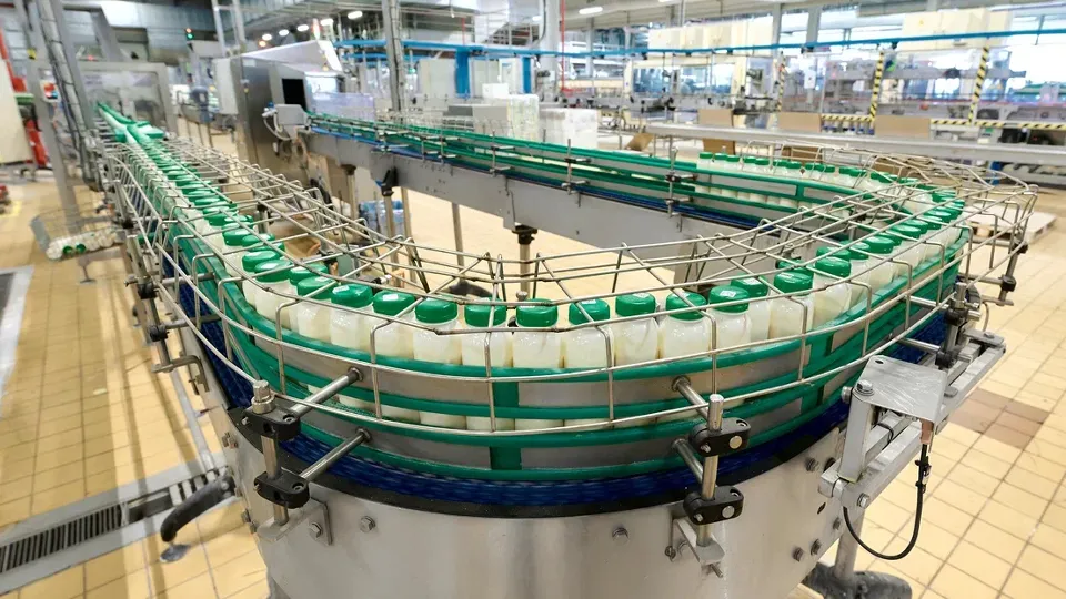 Фото: пресс-служба губернатора и правительства Московской области