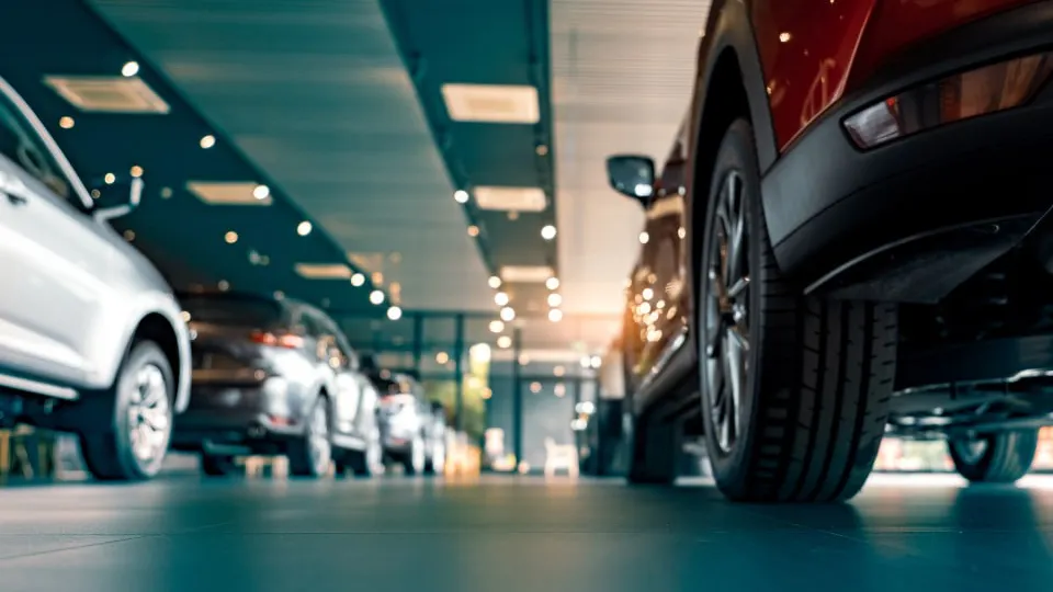 Фото: istockphoto.com/Fahroni