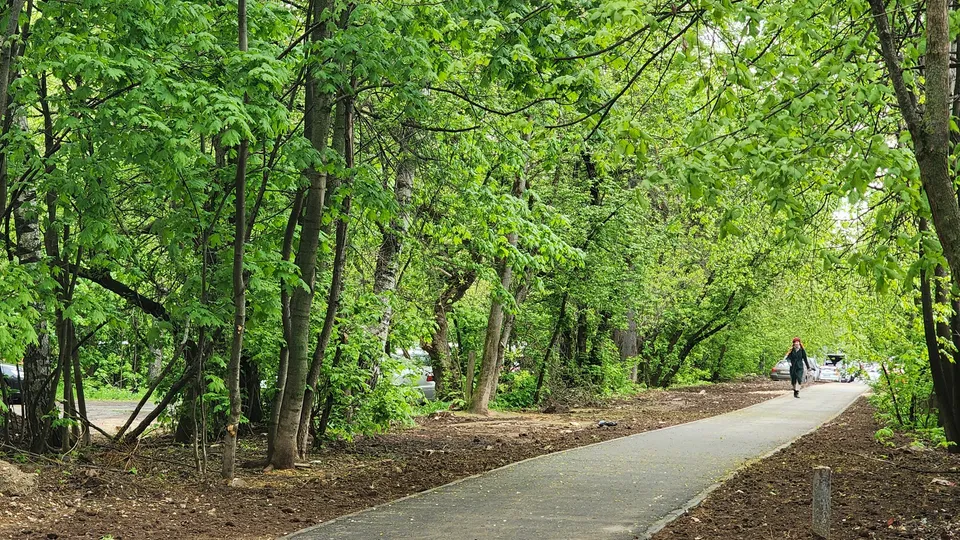 Фото: МедиаБанк Подмосковья/Роман Савельев