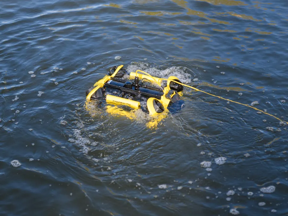 Фото: МедиаБанк Подмосковья/Дарья Попова