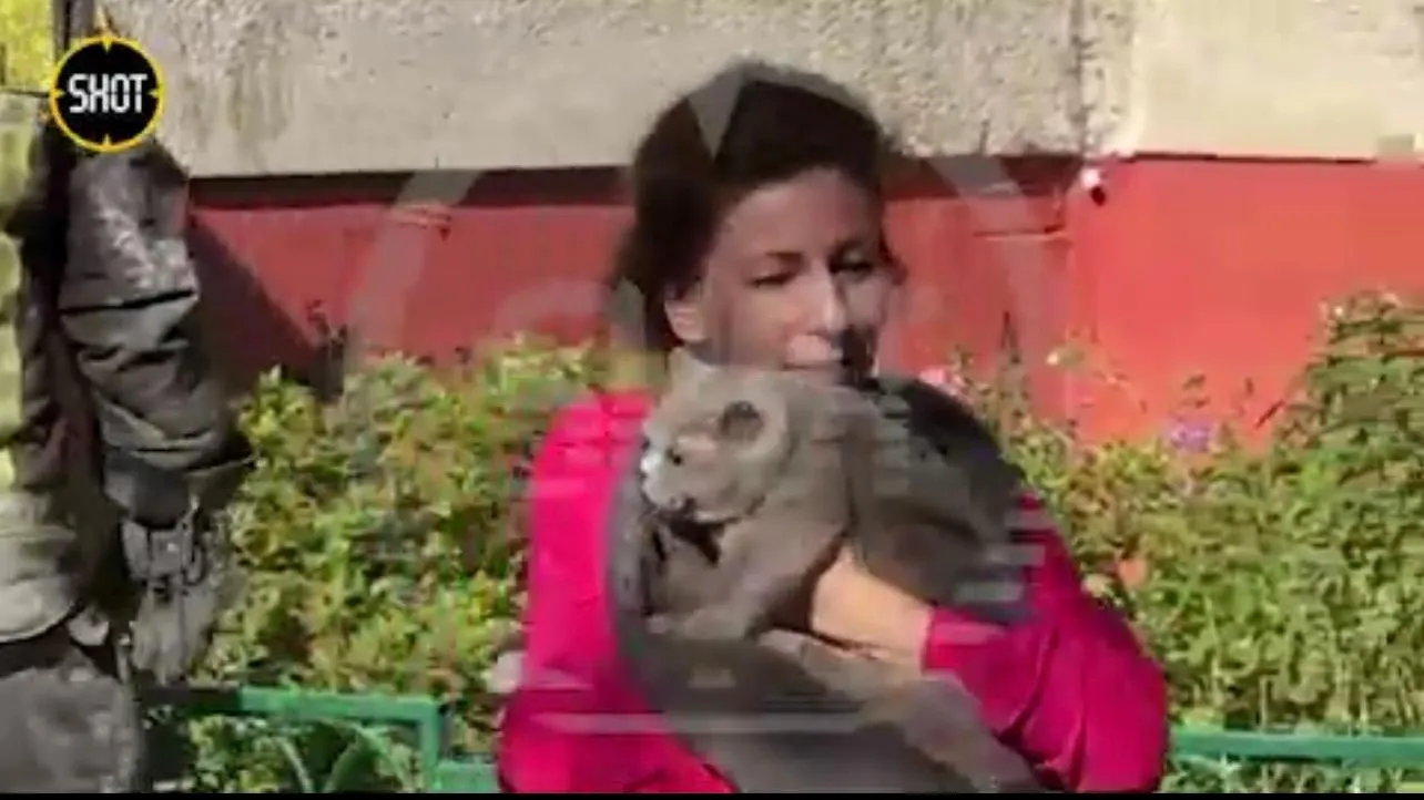 Скрин видео