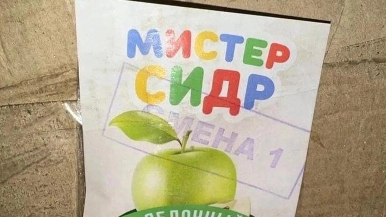 «Горе-врачи»: девушка умерла от «Мистера Сидра» из-за неправильного диагноза врачей