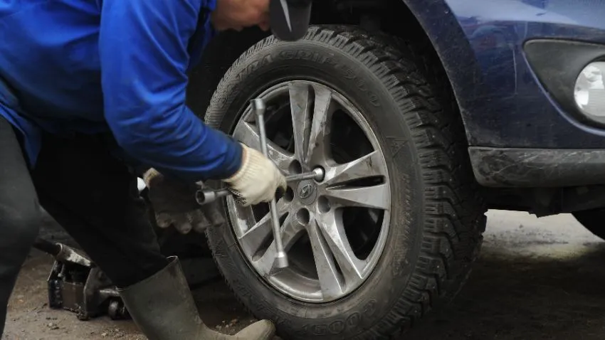 Фото: медиасток. рф