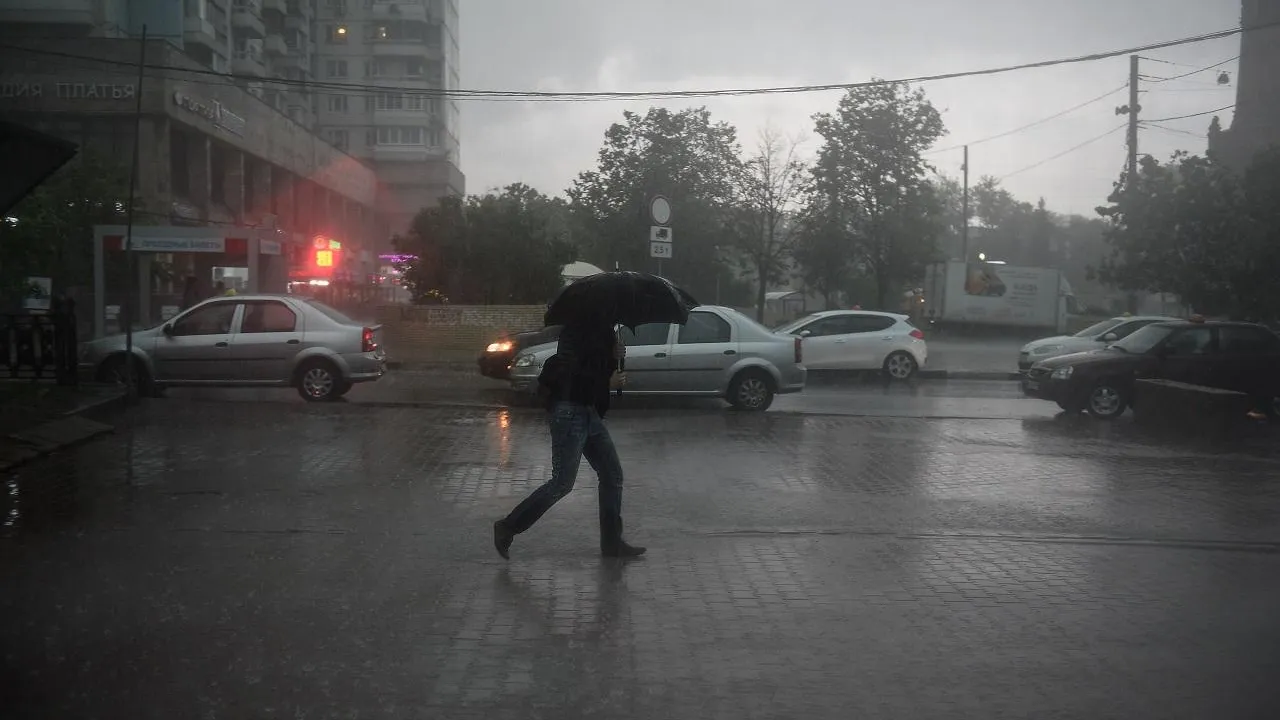 Град, гроза и жара до 30 градусов ожидаются в Московском регионе во вторник