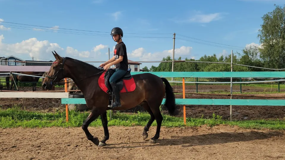 Фото: Юлия Смагринская
