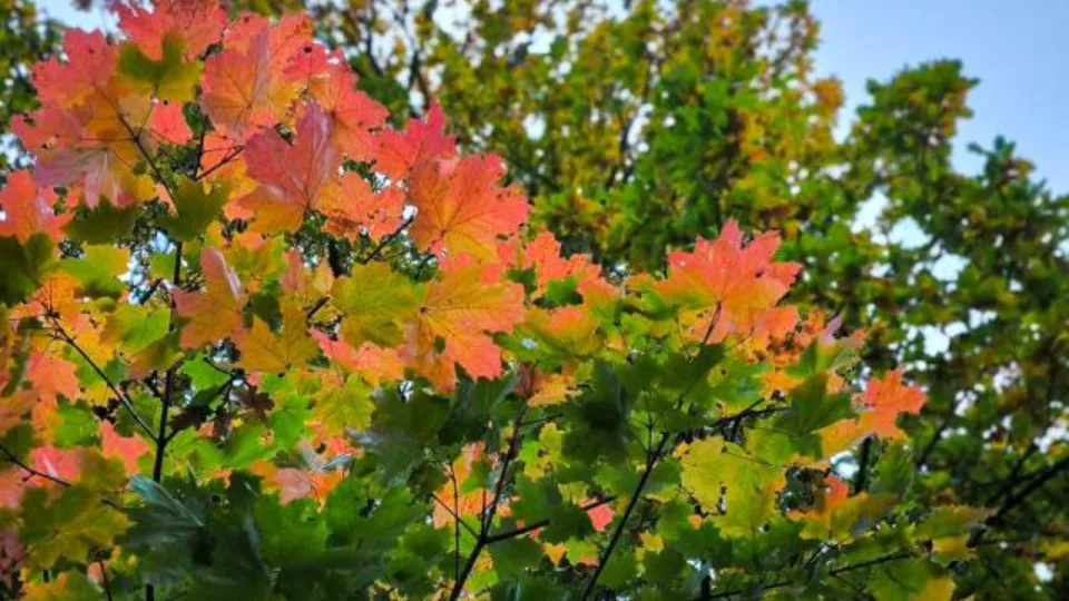 Фото: REGIONS/Роман Малышенко