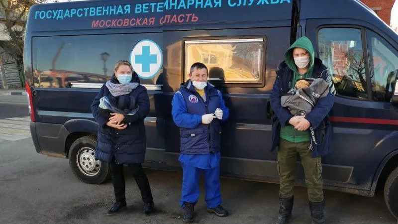 Пресс-служба Министерства сельского хозяйства и продовольствия Московской области